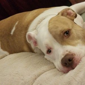 Meet your Posher, Christy